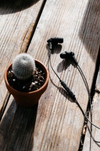 Grado In Ear Headphones