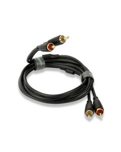 Connect Phono to Phono Cable